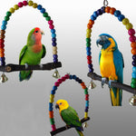 Colorful Parrot Swing