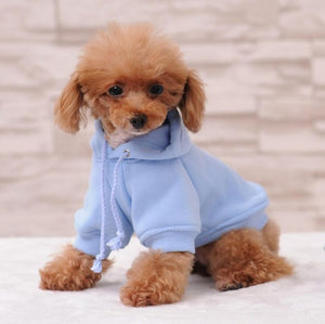 Spring Dog Hoodies