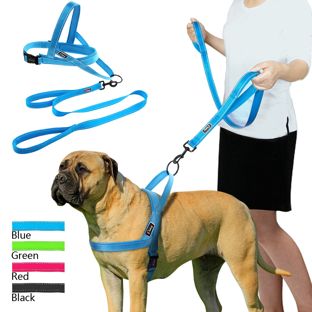 No Pull Dog Harness Leash