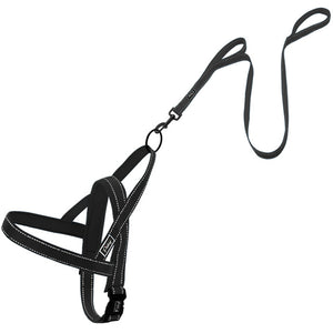 No Pull Dog Harness Leash