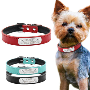 Pet Name ID Collar