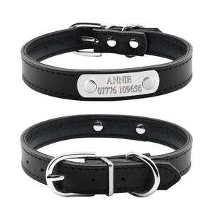 Pet Name ID Collar