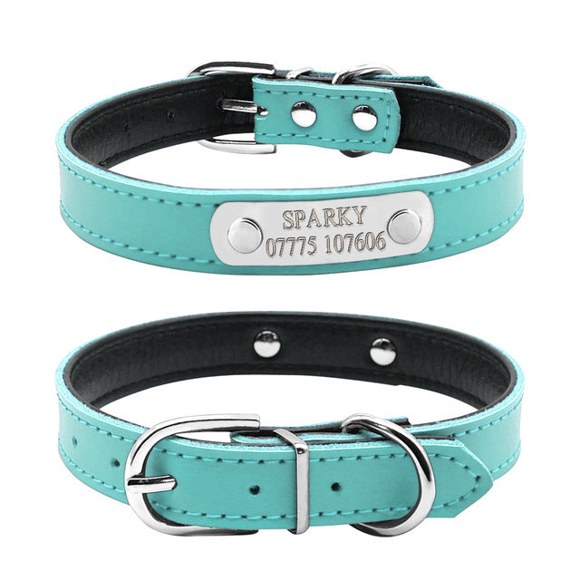 Pet Name ID Collar