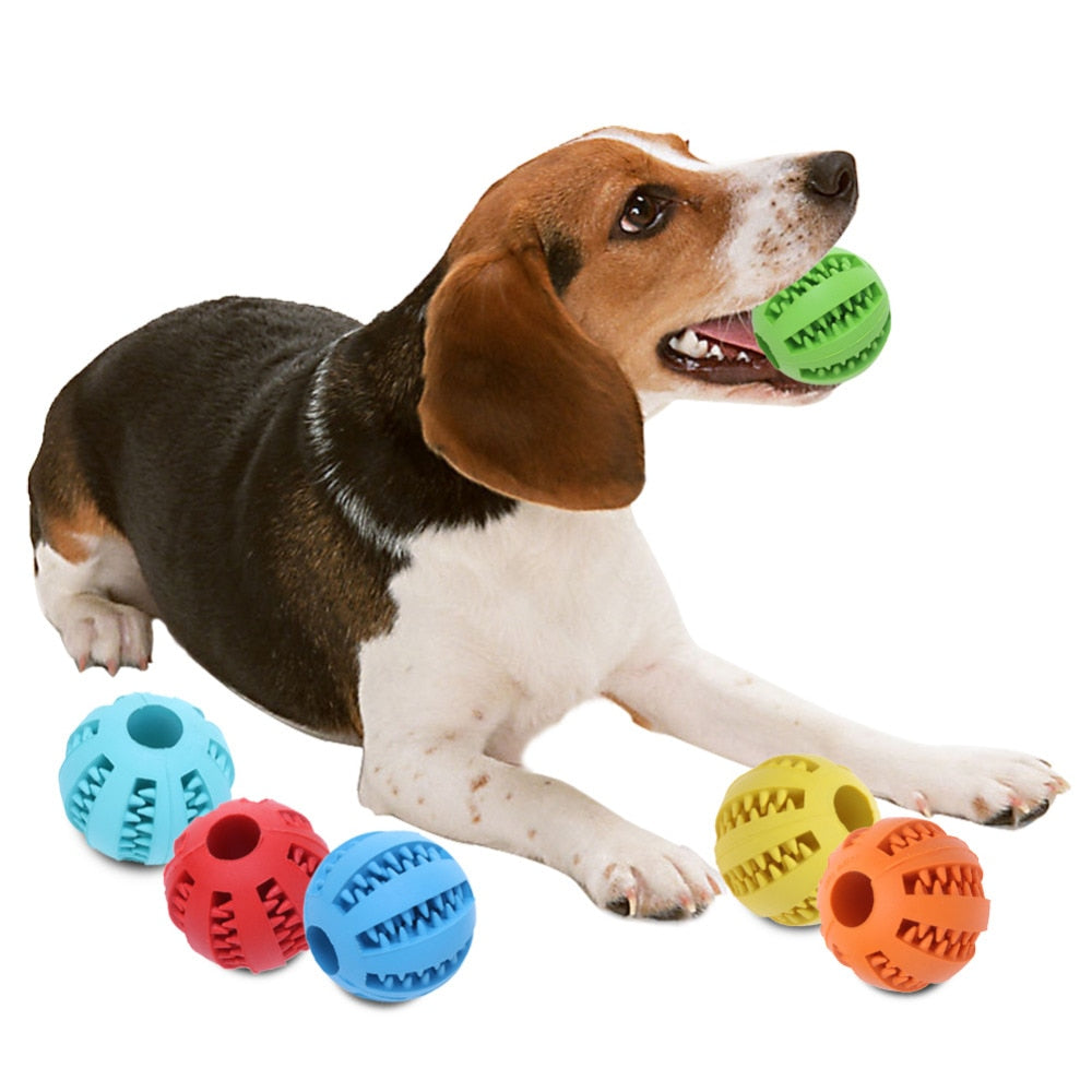 Puppy Rubber Ball